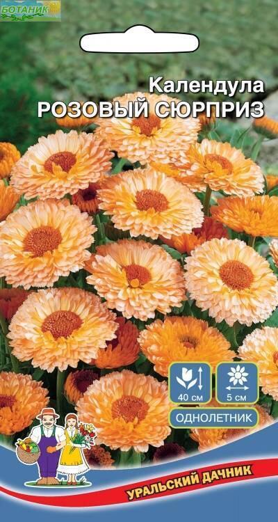 Купить оптом в Ботанике семена Календула Розовый сюрприз УД бренд Уральский дачник