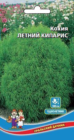 Купить оптом в Ботанике семена Кохия Летний кипарис УД бренд Уральский дачник