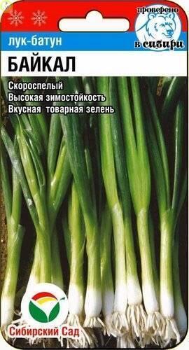 Купить оптом в Ботанике семена Лук батун Байкал СС бренд Сиб.сад