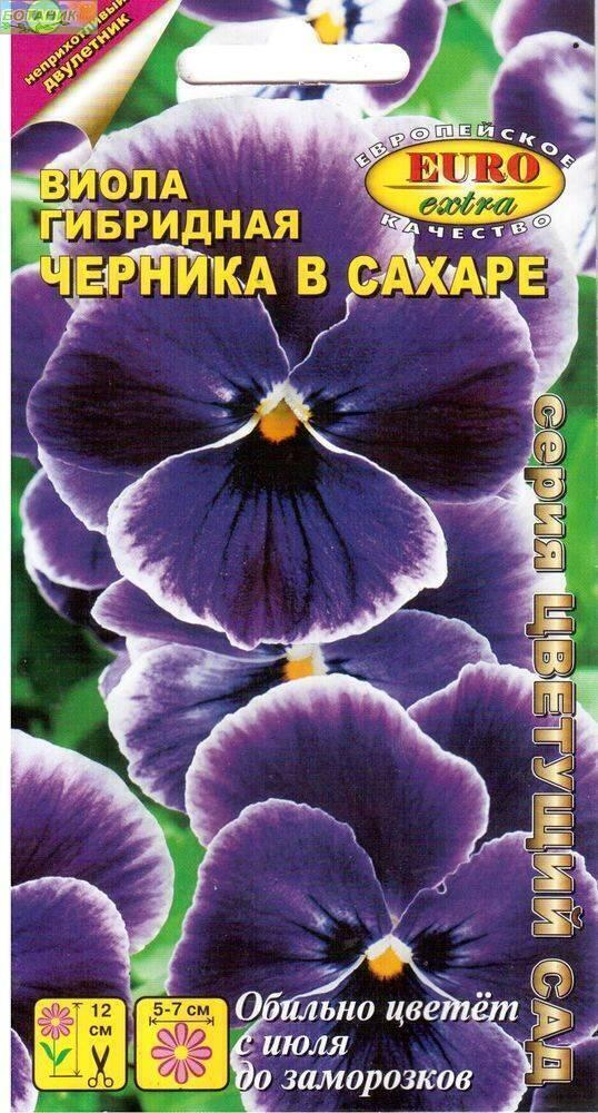 Купить оптом в Ботанике семена Виола Черника в сахаре Аэл бренд Аэлита