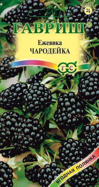 Купить оптом в Ботанике семена Ежевика Чародейка Гав бренд Гавриш