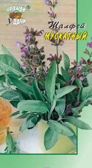 Купить оптом в Ботанике семена Шалфей Мускатный УУ бренд Урожай Удачи