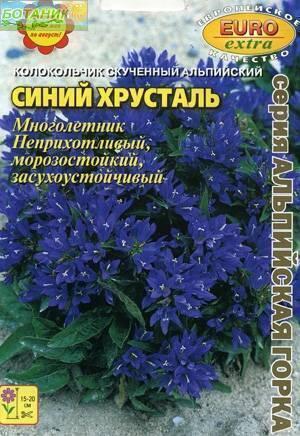 Купить оптом в Ботанике семена Колокольчик Синий хрусталь скученный Аэл бренд Аэлита