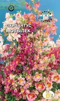 Купить оптом в Ботанике семена Схизантус Мотылек Сед бренд СеДеК