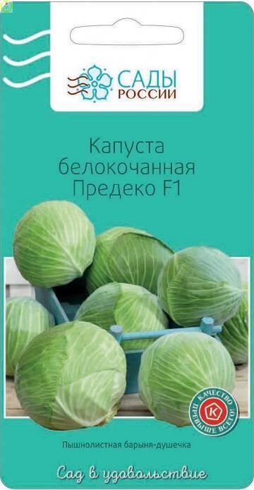 Купить оптом в Ботанике семена Капуста белокочанная Предеко СиО бренд Сад и огород