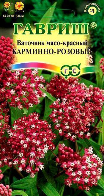Купить оптом в Ботанике семена Ваточник Карминно-розовый Гав бренд Гавриш