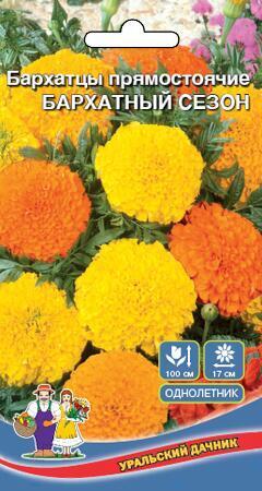 Купить оптом в Ботанике семена Бархатцы Бархатный сезон УД бренд Уральский дачник