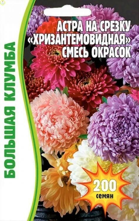 Купить оптом в Ботанике семена Астра Хризантемовидная сместь Реш бренд Решение, ООО