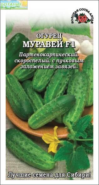 Купить оптом в Ботанике семена Огурец Муравей F1 ЗС бренд Золотая сотка