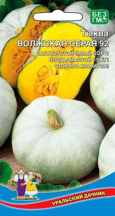 Купить оптом в Ботанике семена Тыква Волжская серая 92 УД бренд Уральский дачник