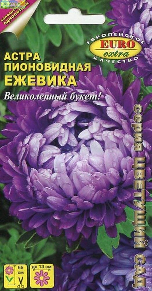 Купить оптом в Ботанике семена Астра Ежевика пионовидная Аэл бренд Аэлита
