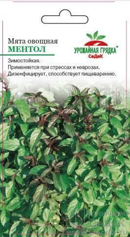 Купить оптом в Ботанике семена Мята Ментол Сед бренд СеДеК