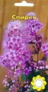 Купить оптом в Ботанике семена Спирея УУ бренд Урожай Удачи