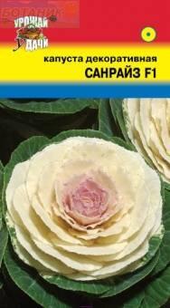 Купить оптом в Ботанике семена Капуста декоративная Санрайз УУ бренд Урожай Удачи
