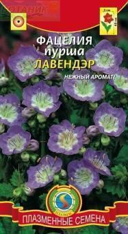 Купить оптом в Ботанике семена Фацелия Лавендэр пурша Плз бренд Плазмас