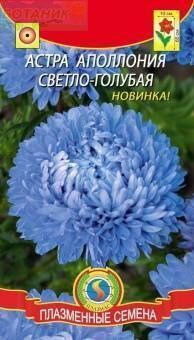 Купить оптом в Ботанике семена Астра Апполония светло-голубая Плз бренд Плазмас
