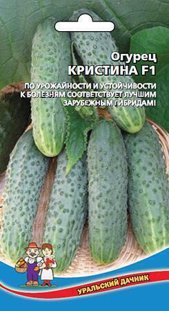 Купить оптом в Ботанике семена Огурец Кристинка F1 УД бренд Уральский дачник