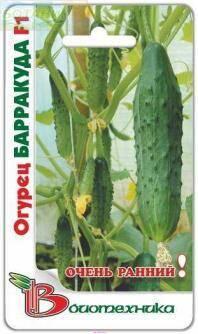 Купить оптом в Ботанике семена Огурец Барракуда F1 Био бренд Биотехника