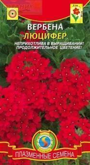 Купить оптом в Ботанике семена Вербена Люцифер Плз бренд Плазмас