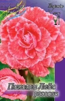 Купить оптом в Ботанике Бегония Пикоти Лейс розовая 3 шт