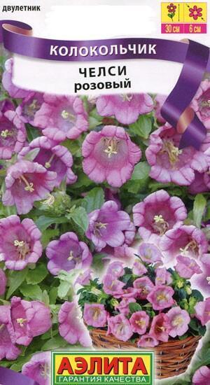 Купить оптом в Ботанике семена Колокольчик Челси розовый Аэл бренд Аэлита