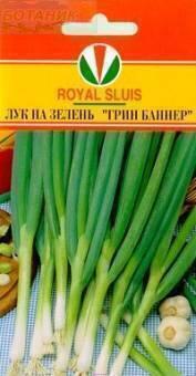 Купить оптом в Ботанике семена Лук на зелень Грин Баннер F1 Акв бренд Акварель