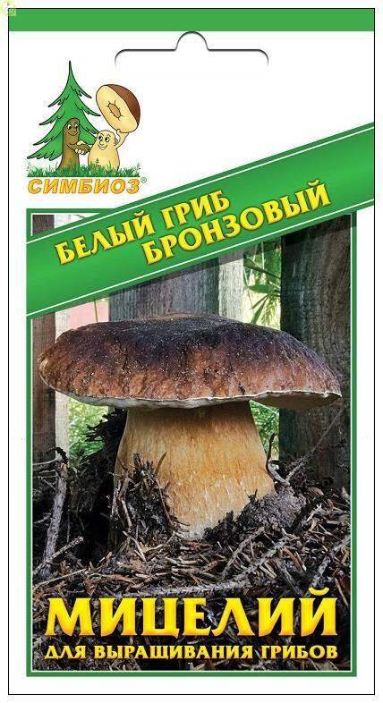 Купить оптом в Ботанике семена Белый гриб бронзовый Сим бренд НПМЛ СИМБИОЗ