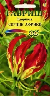 Семена Глориоза Сердце Африки великолепная