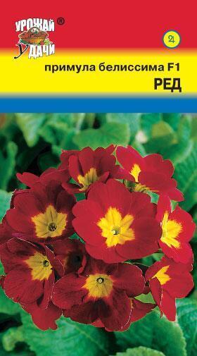 Купить оптом в Ботанике семена Примула Белиссима ред F1 УУ бренд Урожай Удачи