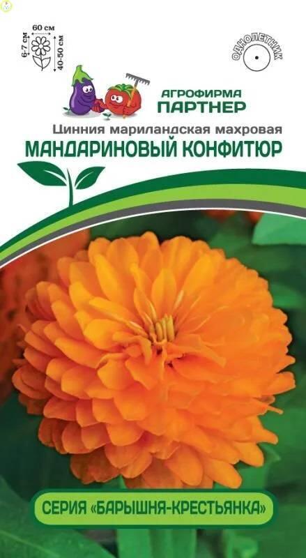 Купить оптом в Ботанике семена Цинния Мандариновый конфитюр Пар бренд Партнер