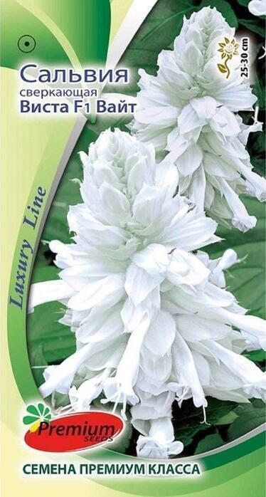 Купить оптом в Ботанике семена Сальвия Виста Вайт F1 ПС бренд Премиум Сидс