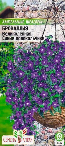 Купить оптом в Ботанике семена Броваллия Синие колокольчики СА бренд Семена Алтая