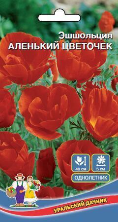 Купить оптом в Ботанике семена Эшшольция Аленький цветочек УД бренд Уральский дачник