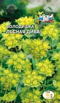 Купить оптом в Ботанике семена Володушка Лесная дива Сед бренд СеДеК