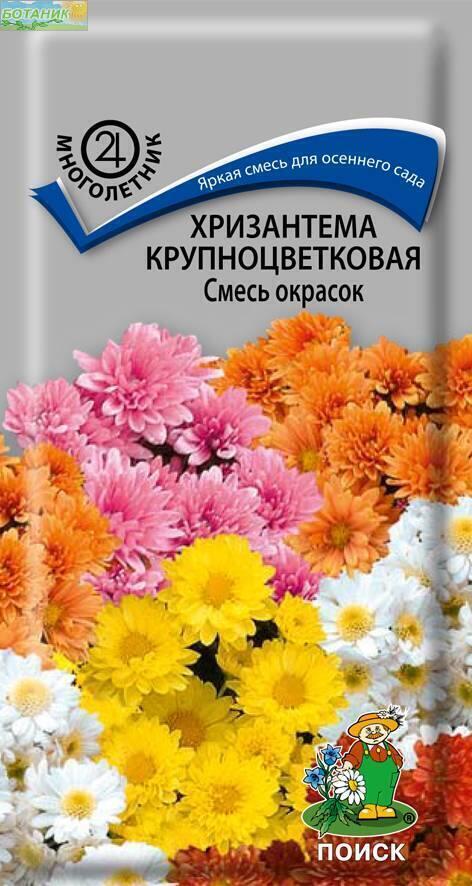Купить оптом в Ботанике семена Хризантема Крупноцветковая смесь окрасок Поиск бренд Поиск