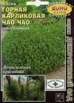 Купить оптом в Ботанике семена Сосна Горная карликовая Аэл бренд Аэлита