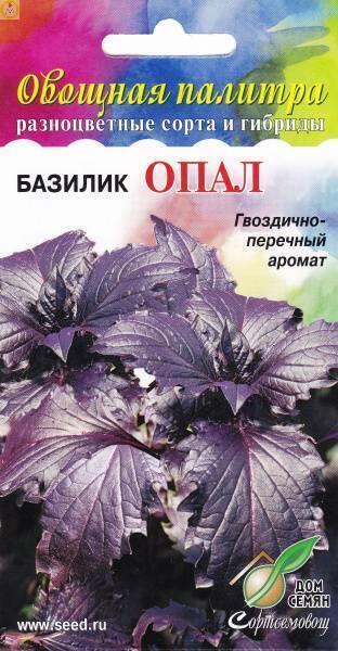 Купить оптом в Ботанике семена Базилик Опал ССО бренд Сортсемовощ