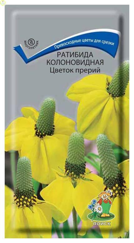 Купить оптом в Ботанике семена Ратибида Цветок прерий Поиск бренд Поиск