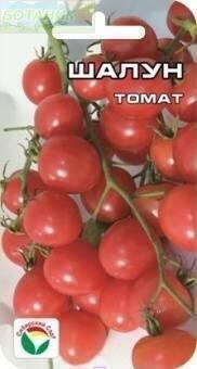 Купить оптом в Ботанике семена Томат Шалун СС бренд Сиб.сад