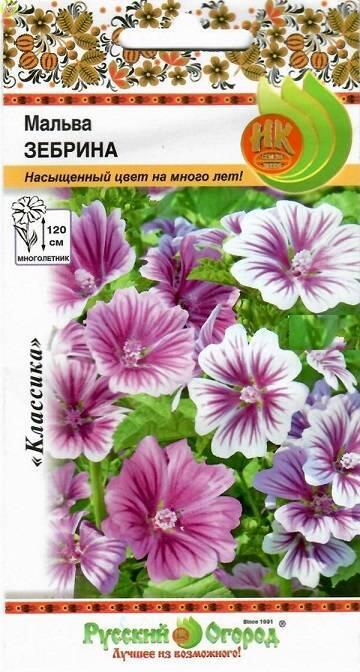 Купить оптом в Ботанике семена Мальва Зебрина НК бренд НК