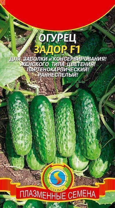 Купить оптом в Ботанике семена Огурец Задор F1 Плз бренд Плазмас
