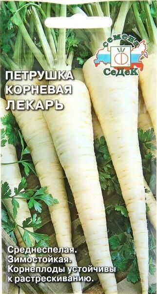 Купить оптом в Ботанике семена Петрушка Лекарь корневая Сед бренд СеДеК