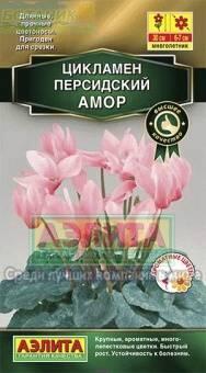Купить оптом в Ботанике семена Цикламен Амор персидский Аэл бренд Аэлита
