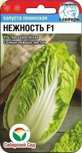 Купить оптом в Ботанике семена Капуста пекинская Нежность F1 СС бренд Сиб.сад