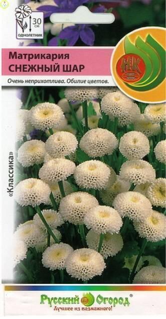 Купить оптом в Ботанике семена Матрикария Снежный шар НК бренд НК