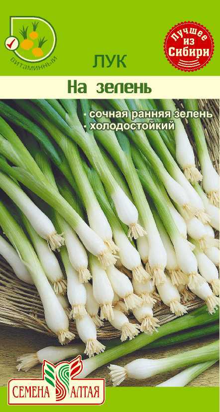Купить оптом в Ботанике семена Лук На зелень СА бренд Семена Алтая