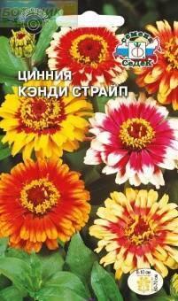 Купить оптом в Ботанике семена Цинния Канди страйп смесь Сед бренд СеДеК