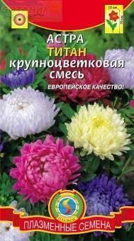 Купить оптом в Ботанике семена Астра Титан Плз бренд Плазмас
