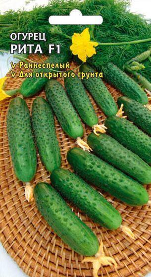 Купить оптом в Ботанике семена Огурец Рита СА бренд Семена Алтая