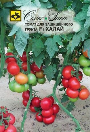 Купить оптом в Ботанике семена Томат Халай F1 Сем бренд Семко